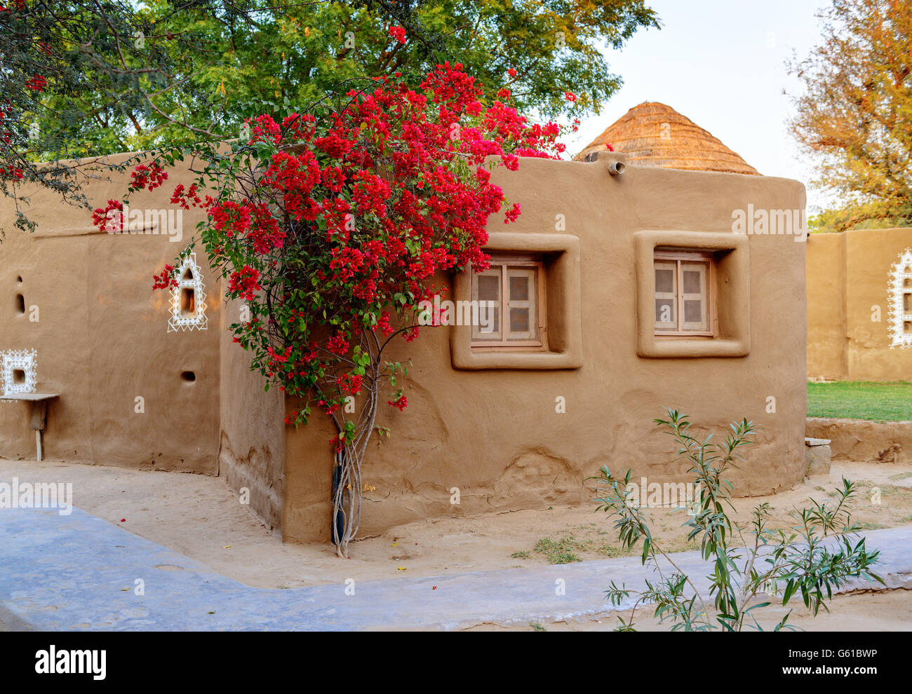 Ferienhaus der Erde mit Schlinger Baum, Mandawa, Rajasthan, Indien Stockfoto