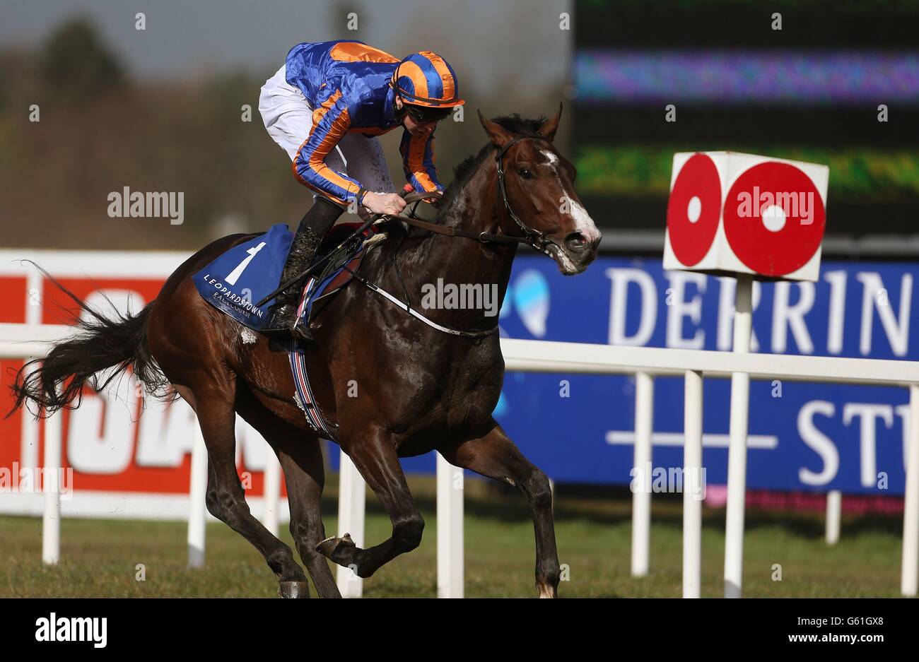 Schlacht von Marengo von Joseph O'Brien geritten gewinnt die P.W. McGrath Memorial Ballysax Stakes auf der Leopardstown Racecourse, Dublin. Stockfoto