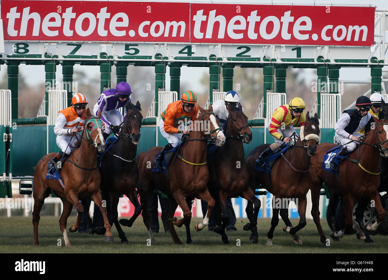 Pferde am Starttor während des Leopardstown Club Members Handicap auf der Leopardstown Racecourse, Dublin. Stockfoto