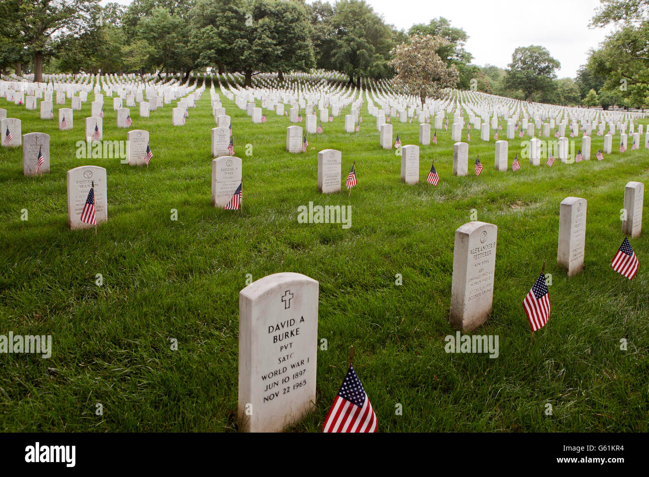 Arlington, Virginia USA, 30. Mai 2016: "Fahnen" auf dem Arlington National Cemetery. 2016 Stockfoto