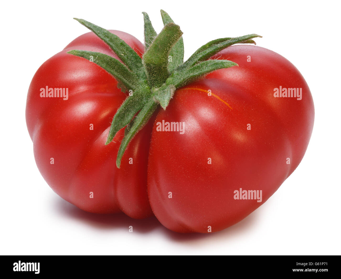 Reife Heirloom Tomaten auf Weinstock, Togorific Sorte (Solanum Lycopersicum). Schneidepfade für beide Tomaten und Schatten, unendliche d Stockfoto