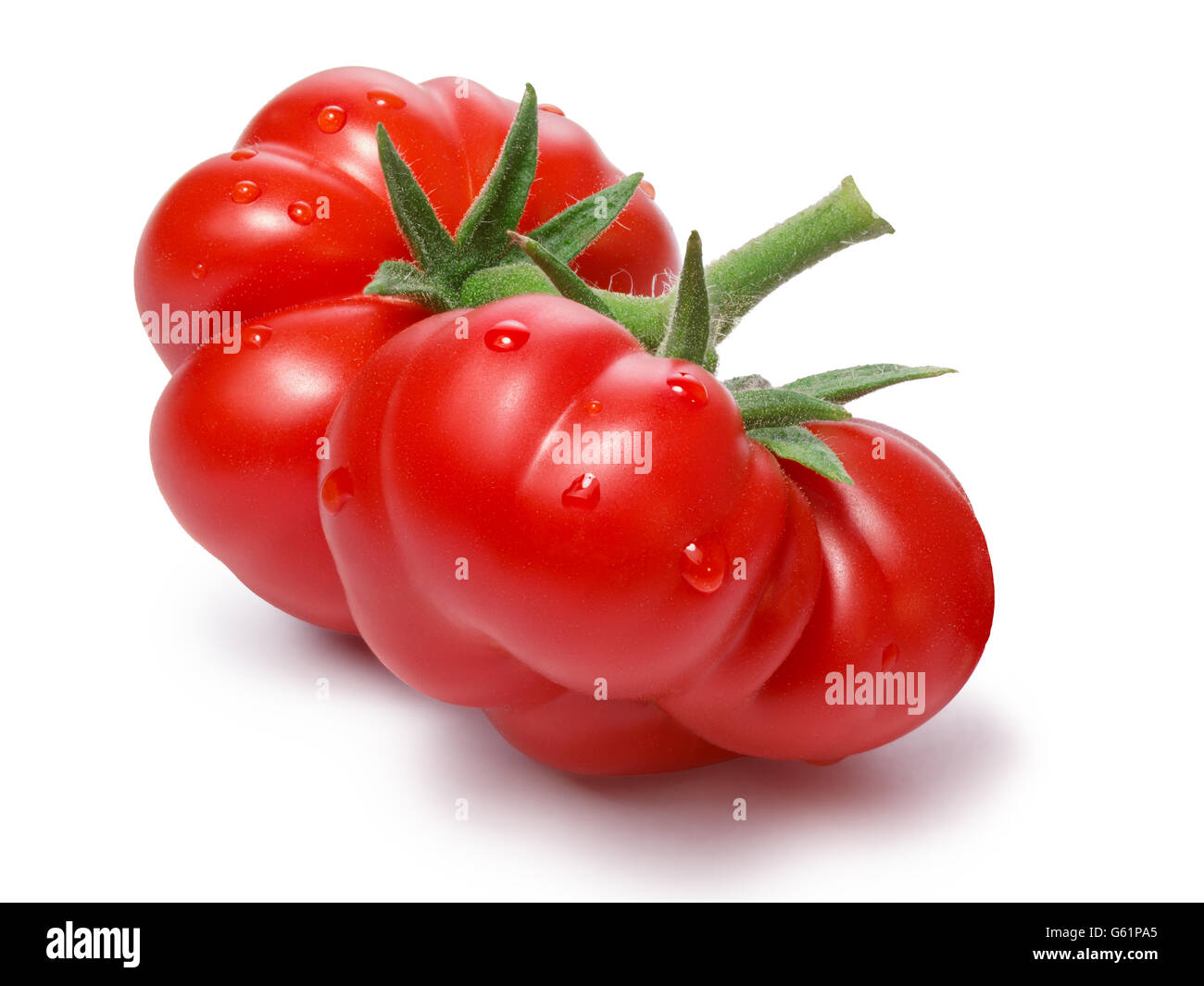 Reife Heirloom Tomaten auf Weinstock, Togorific Sorte (Solanum Lycopersicum). Schneidepfade für beide Tomaten und Schatten, unendliche d Stockfoto