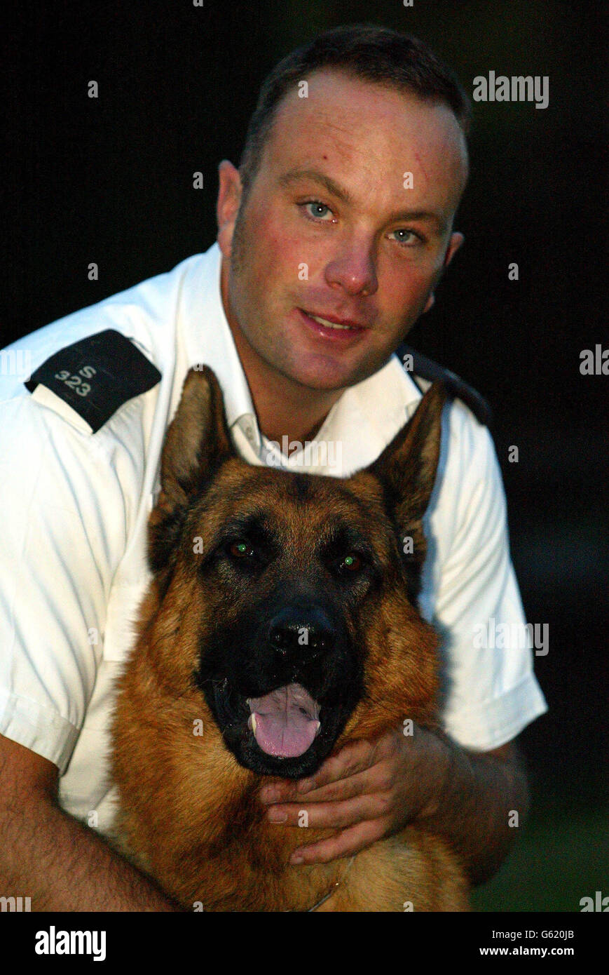 Major, der dreijährige Schäferhund, der sich mit seinem Handler P.C Jason Cooke zu Hause erholt. Der Polizeihund bekam seinen Mann, obwohl er während einer Verfolgungsjagd auf Metallspitzen aufgespießt wurde. * Er wurde von einem Polizisten vorsichtig von den Stacheln gehoben und machte sich dann hartnäckig wieder auf den Weg, um einen mutmaßlichen Autodieb zu verfolgen. Der Hund wurde mit Handler PC Jason Cooke gerufen, nachdem ein Auto in Clapton, Ost-London gestohlen gemeldet wurde. Stockfoto