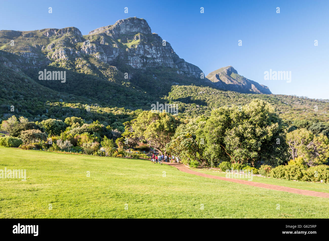 Kirstenbosch National Botanical Garden, Kapstadt Südafrika Stockfoto