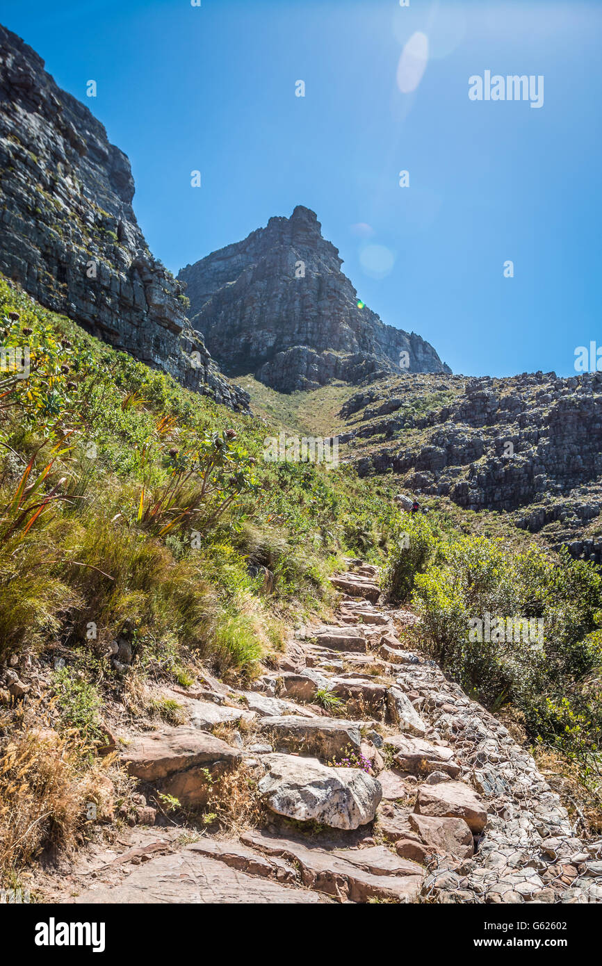 Wandern zum oberen Tafelberg in Südafrika Stockfoto
