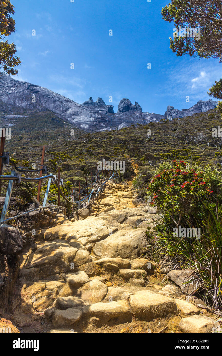 Wandern im Mount Kinabalu, Sabah, Malaysia Stockfoto