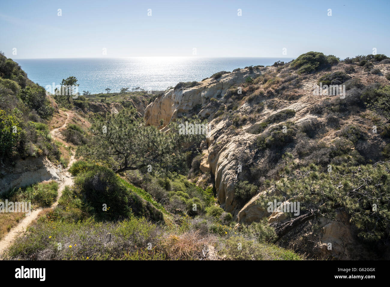 Pfad zur Razor Point - Torrey Pines State Park, San Diego, CA Stockfoto