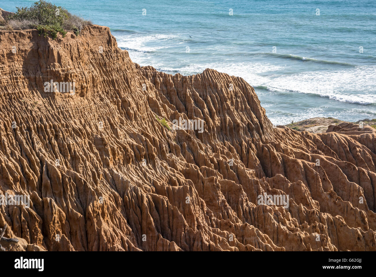 Razor Point - Torrey Pines State Park, San Diego, CA Stockfoto