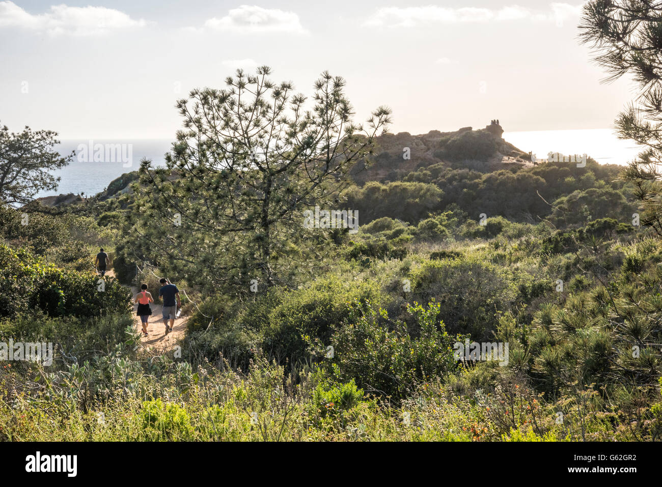 Walker bei Torrey Pines State Park, San Diego, CA Stockfoto