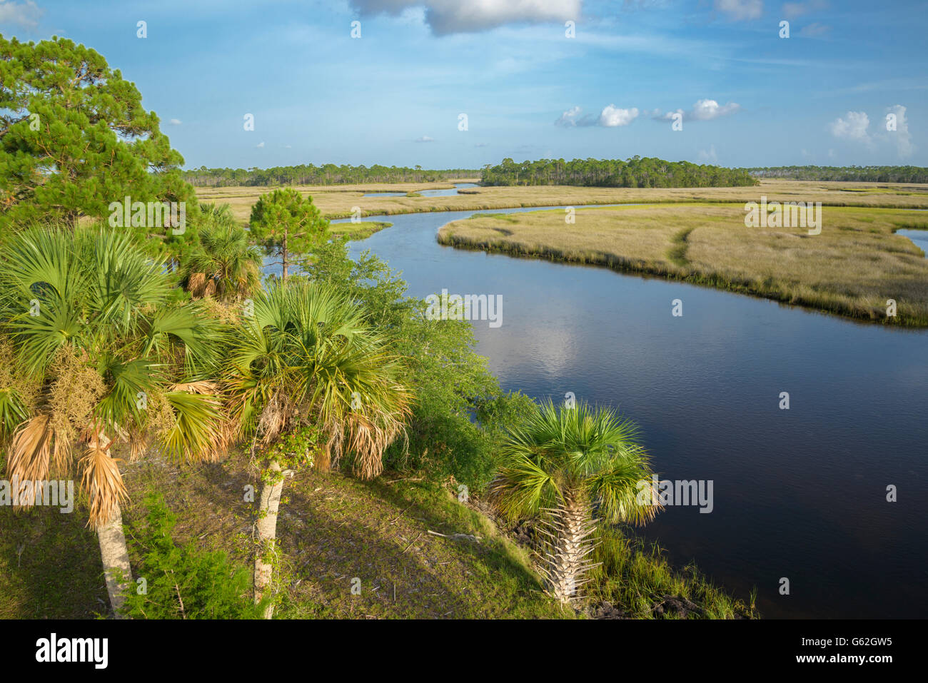 Salz-Sumpf Futter Fish Creek, Big Bend Seegraswiesen aquatische bewahren, Florida Stockfoto