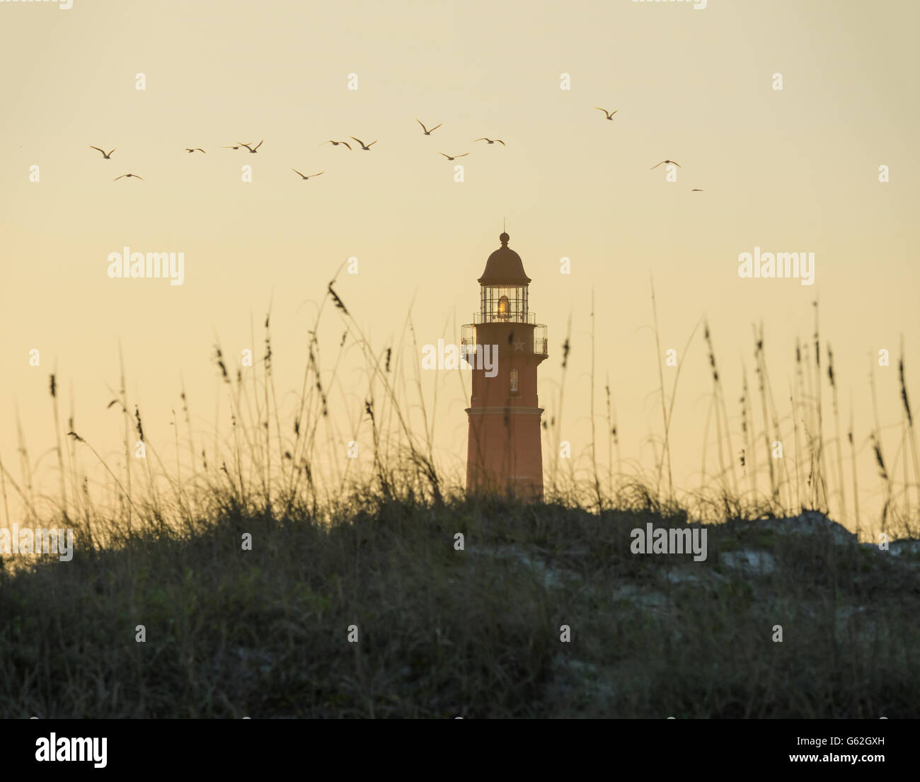 Leuchtturm und Dünen mit fliegenden Vögel an Ponce Inlet, Florida USA Stockfoto