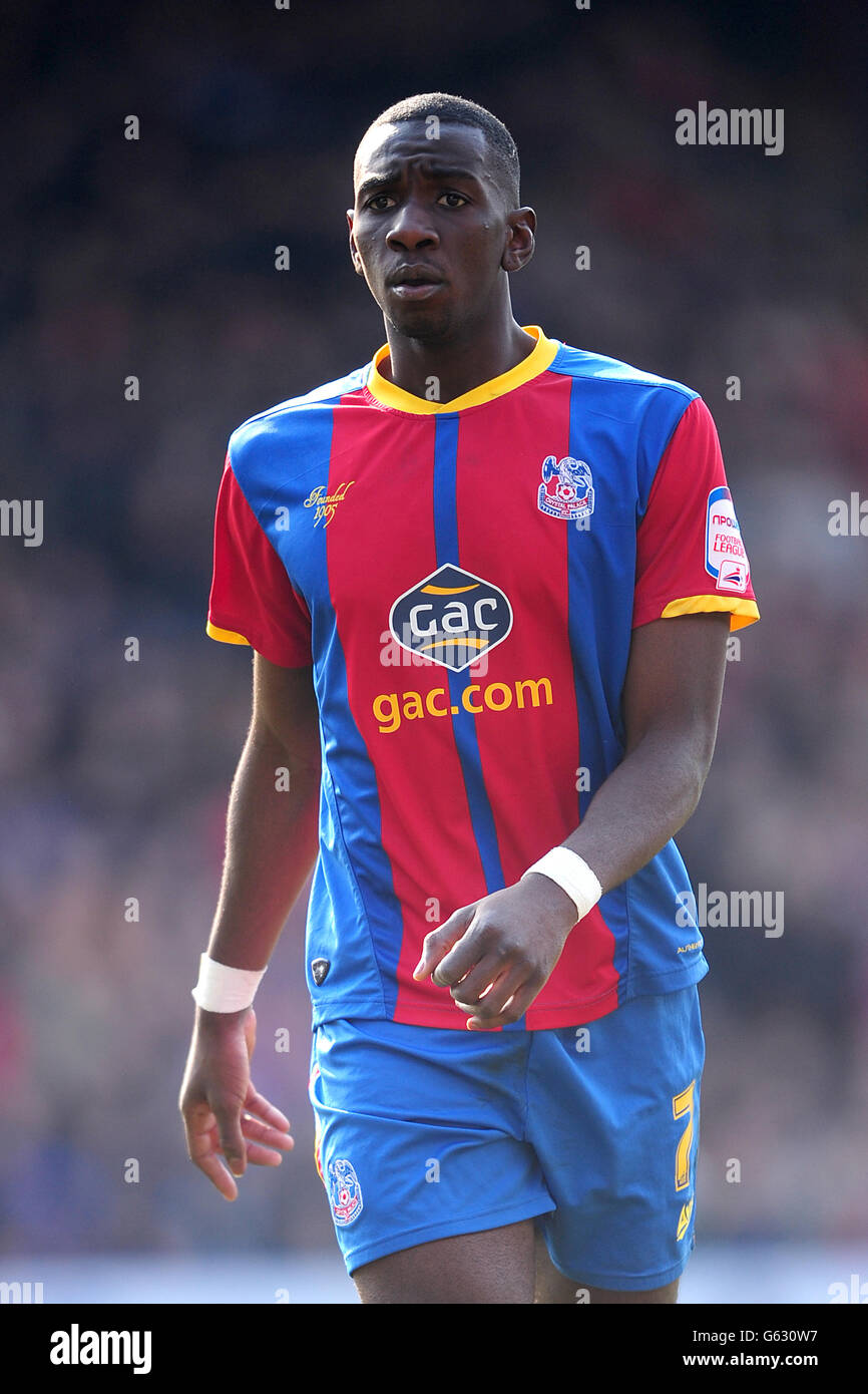 Fußball - Npower Football League Championship - Crystal Palace V Barnsley - Selhurst Park Stockfoto