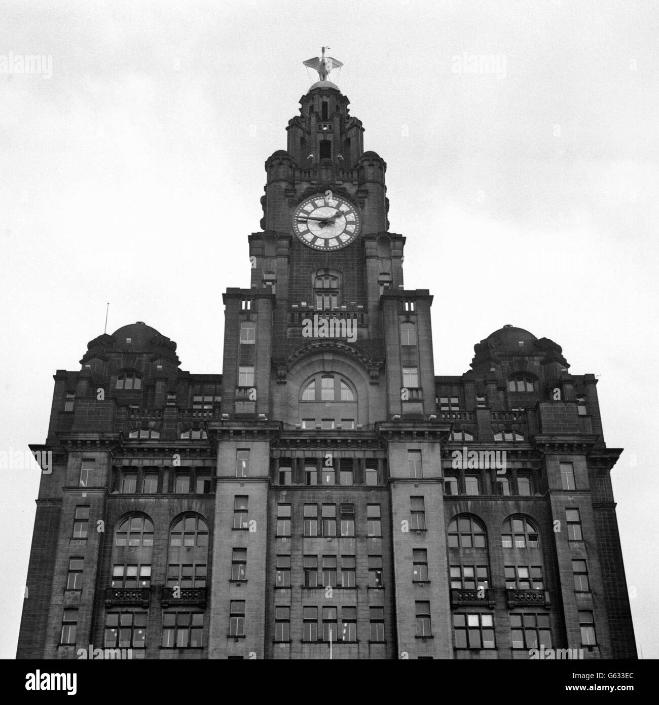 The Royal Liver Building - Liverpool. Das Gebäude der Royal Liver in Liverpool. Stockfoto