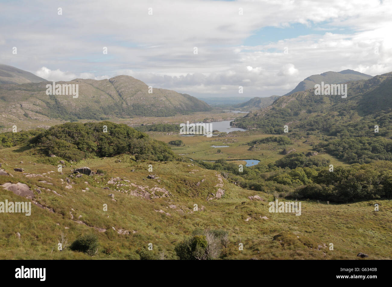 Atemberaubende Aussicht auf die Berge und Seen von Killarney National Park von Ladies View, Ring of Kerry, Co. Kerry, Irland. Stockfoto