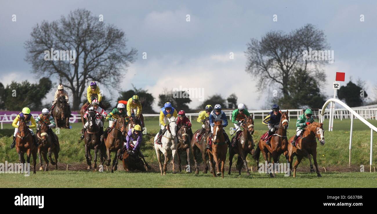 Horse Racing - Festival 2013 - Ladbrokes.com World Series Hürde Tag - Punchestown Racecourse Stockfoto