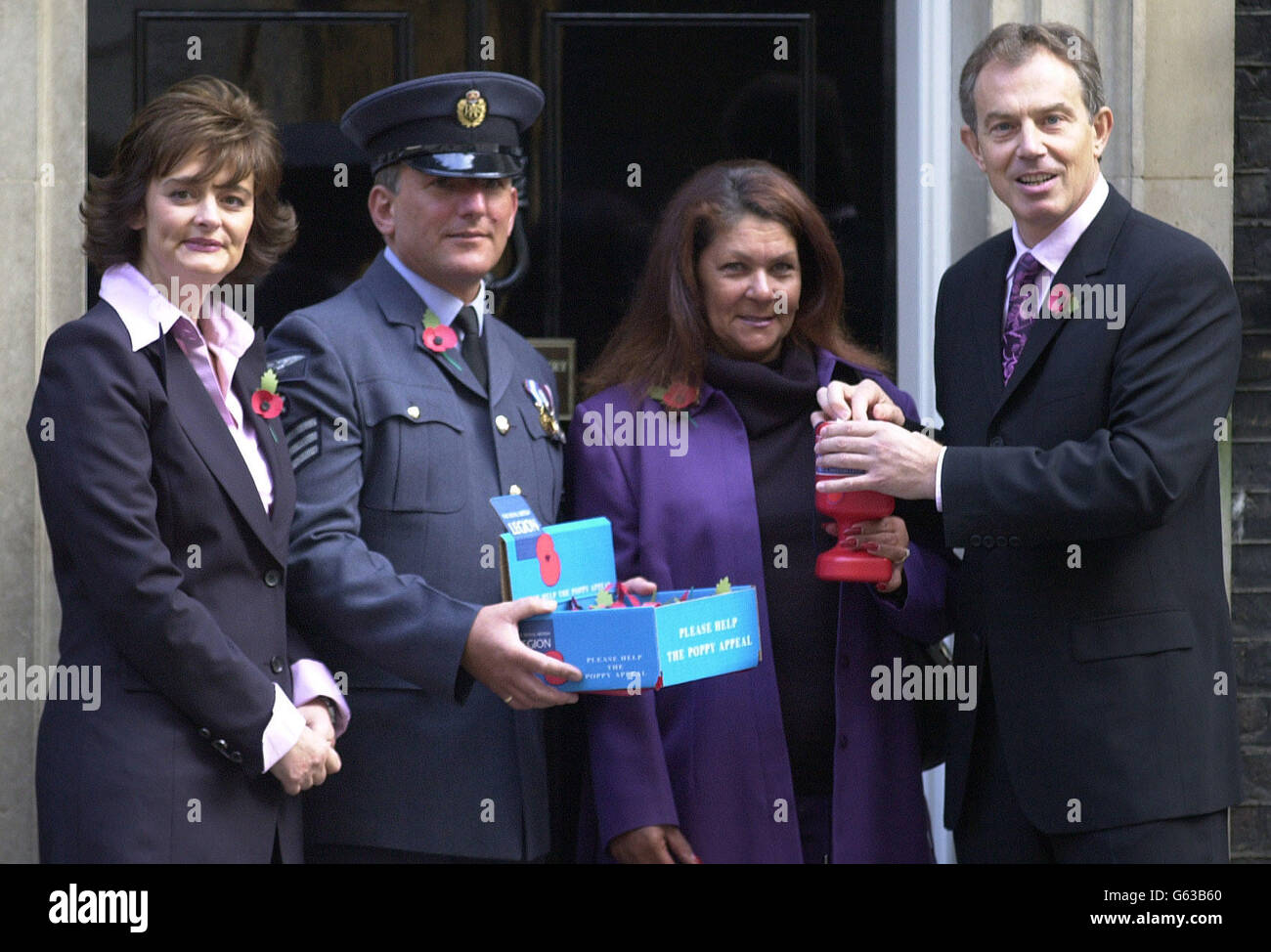 Volkstrauertag-Mohn Stockfoto
