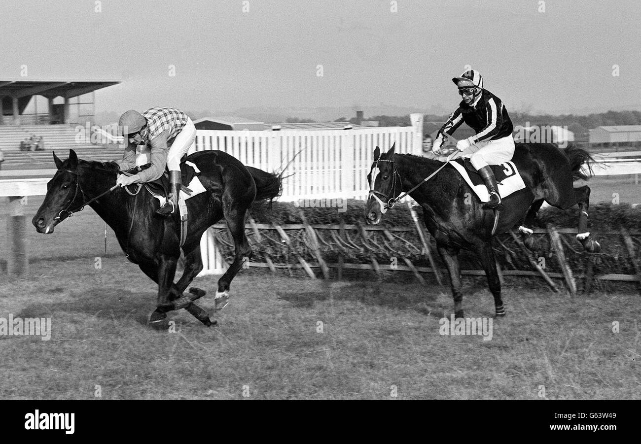 Sea Pigeon mit Ian Watkinson im Sattel führt Heluan, Bob Davies, vom letzten Flug weg, bevor es das Williams Hill Hurdle Race in Newbury gewinnt. Heluan hielt sich an zweiter Stelle, Prousto wurde Dritter. Stockfoto