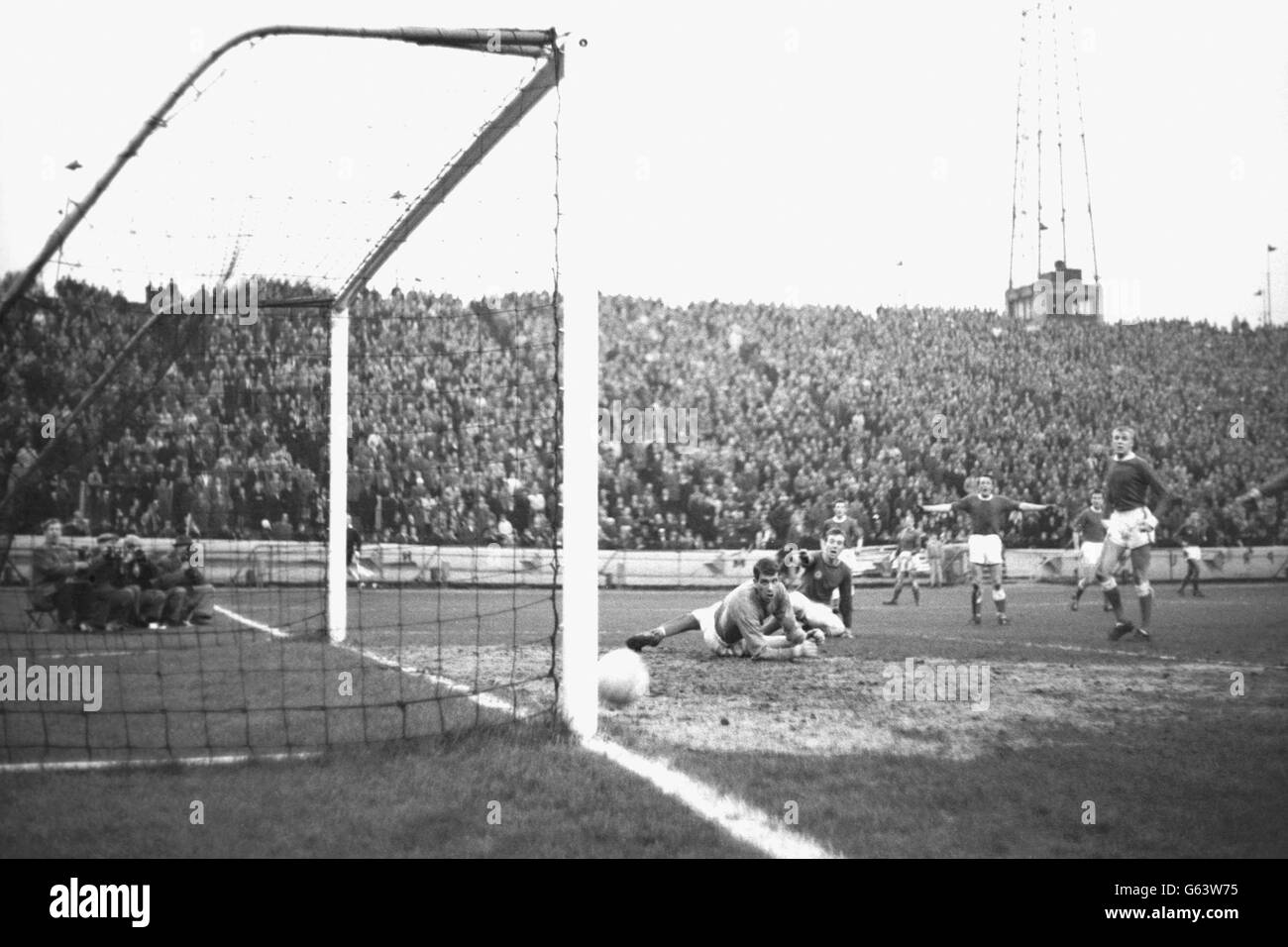 Fußball - Liga Division Two - Chelsea gegen Rotherham United - Stamford Bridge Stockfoto