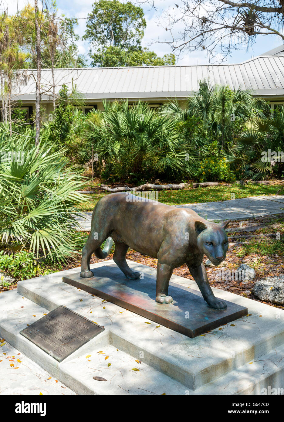 Florida, Everglades National Park, Ernest F. Coe Visitor Center, Florida Panther Bronzeskulptur Stockfoto