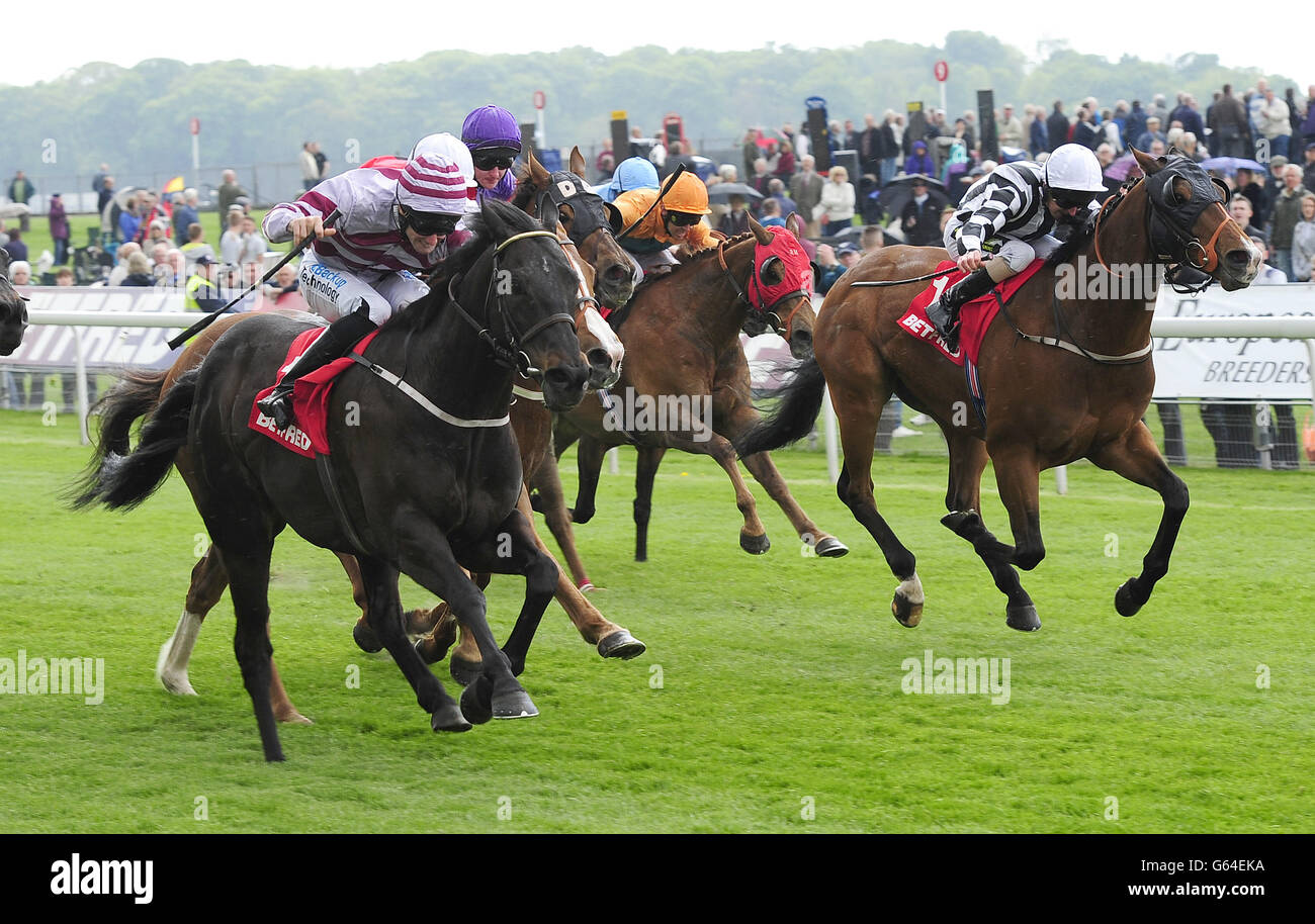 Ancient Cross und Paul Mulrennan (links) steigen auf, um beim Betfred Dante Stakes Day des Dante Festivals 2013 auf der Pferderennbahn von York die Wetteinsätze für mobile Sportwetten zu gewinnen. DRÜCKEN SIE ASSOCATION Photo. Bilddatum: Donnerstag, 16. Mai 2013. Siehe PA Story RACING York. Das Foto sollte lauten: John Giles/PA Wire Stockfoto