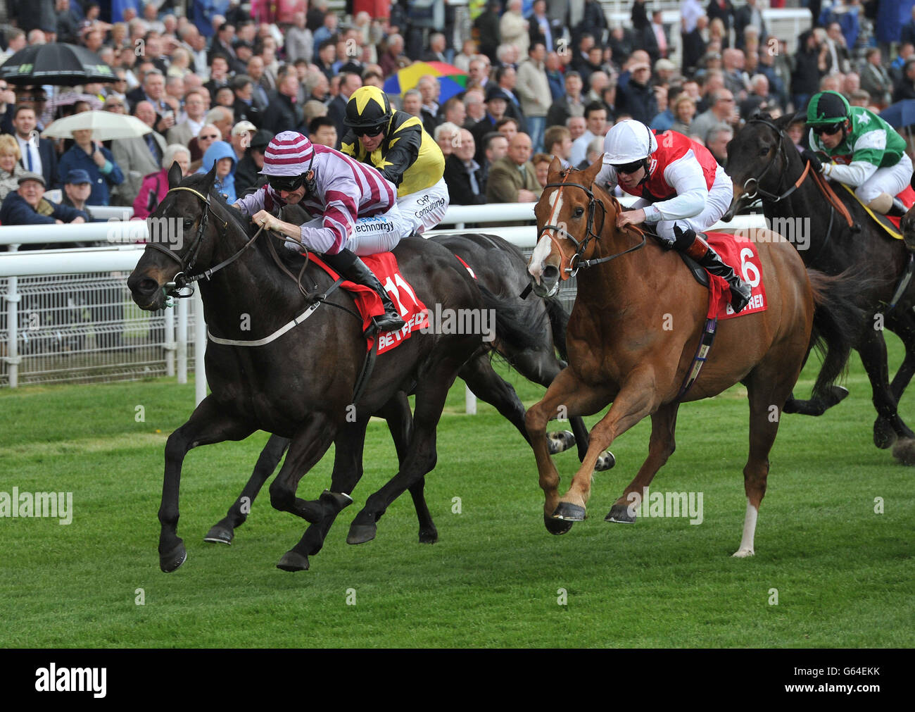 Ancient Cross geritten von Paul Mulrennan gewinnt die Betfred Mobile Sports Stakes während des Betfred Dante Stakes Day des Dante Festival 2013 auf der York Racecourse. DRÜCKEN SIE ASSOCATION Photo. Bilddatum: Donnerstag, 16. Mai 2013. Siehe PA Story RACING York. Bildnachweis sollte lauten: Anna Gowthorpe/PA Wire Stockfoto