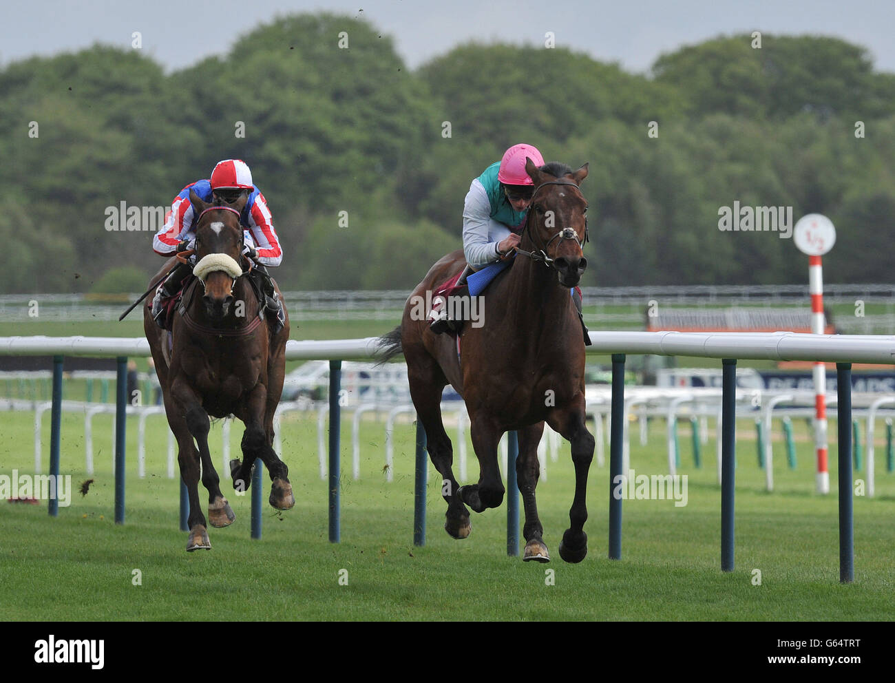 Pferderennen Sie - Pertemps Swinton Hürde Tag - Haydock Park Stockfoto