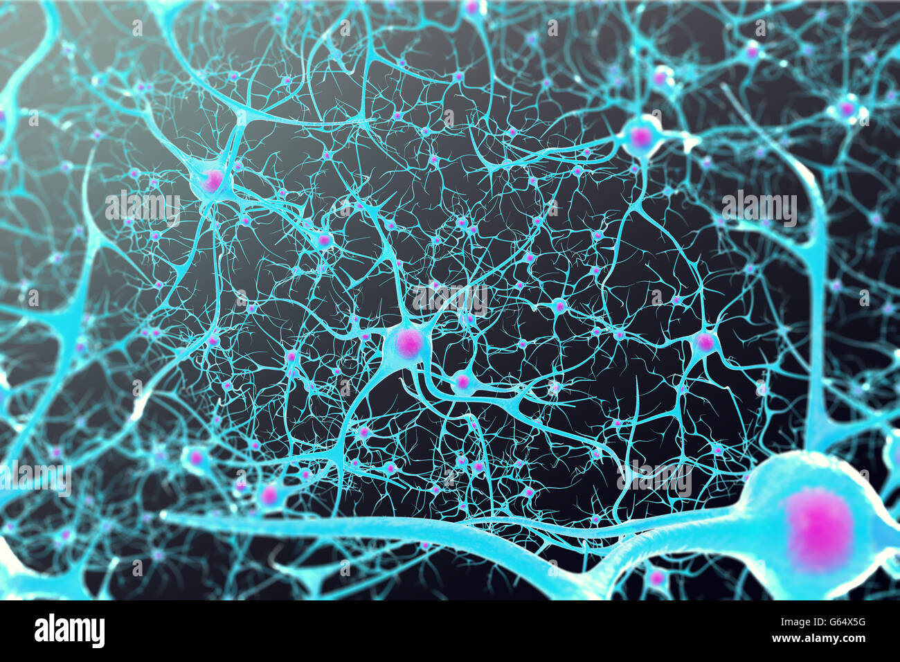 Nervenzellen im Gehirn mit einem Kern im Inneren auf schwarzem Hintergrund. 3D illustration Stockfoto