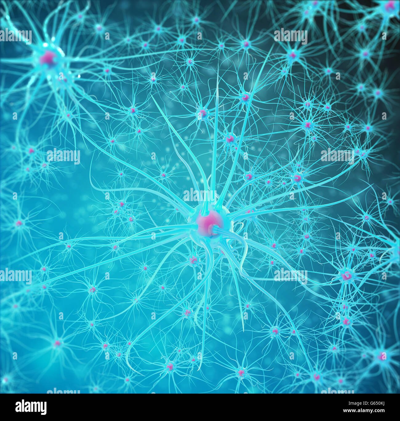 Neuronales Netz, Gehirnzellen, Nervensystem. 3D illustration Stockfoto