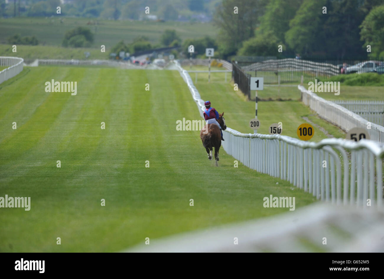 Pferderennen Sie - Tag der Tattersalls Irish 2000 Guineas - Curragh Rennbahn Stockfoto