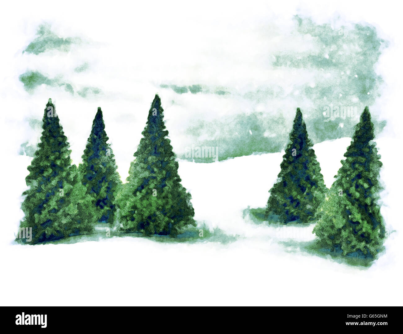 Schnee-Szene und grünen Kiefern Stockfoto