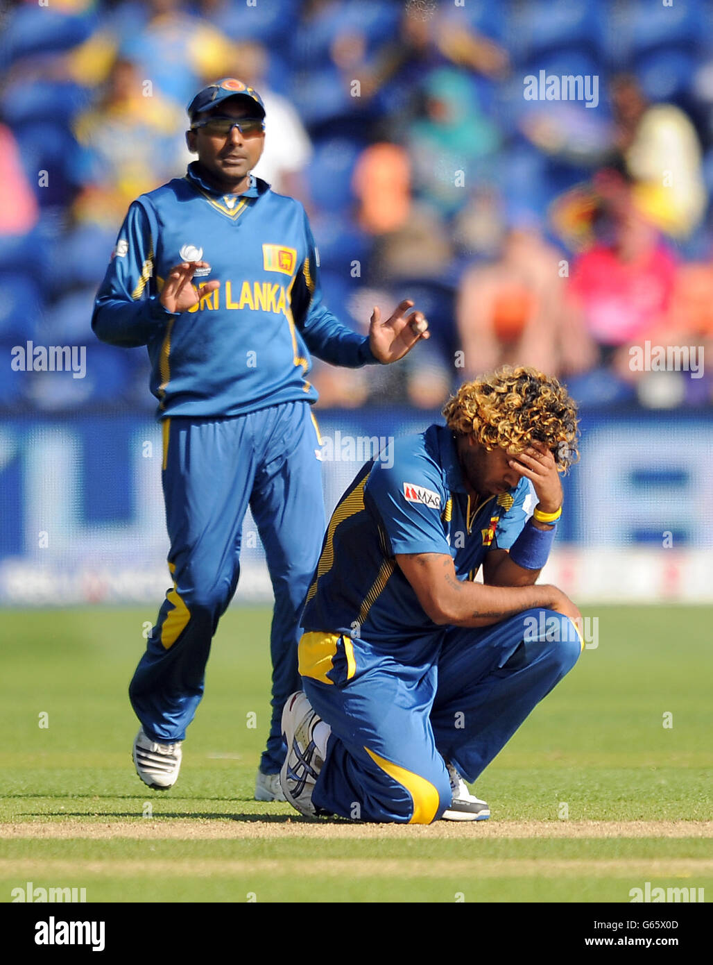 Cricket neuseeland ampics Fotos und Bildmaterial in hoher Auflösung