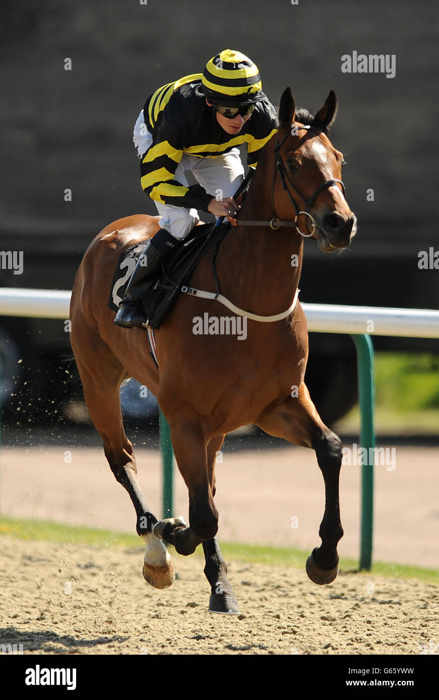 Winslow Arizona, geritten von Jockey Jamie Spencer, geht auf den Posten Im William Pears Handicap Stockfoto