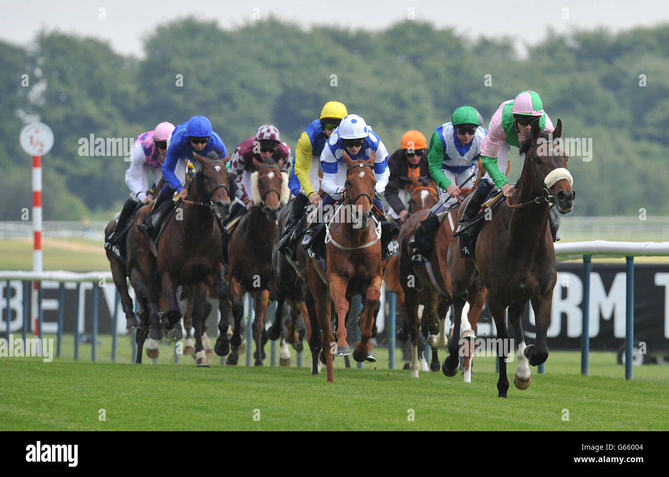 Das Feld der Pferde in der BetVictor Royal Ascot No Lose Hughes Stakes während der Zeitform Jury Stakes / Sandy Lane Stakes Tag auf der Haydock Park Rennbahn, Newton-Le-Willows. Stockfoto