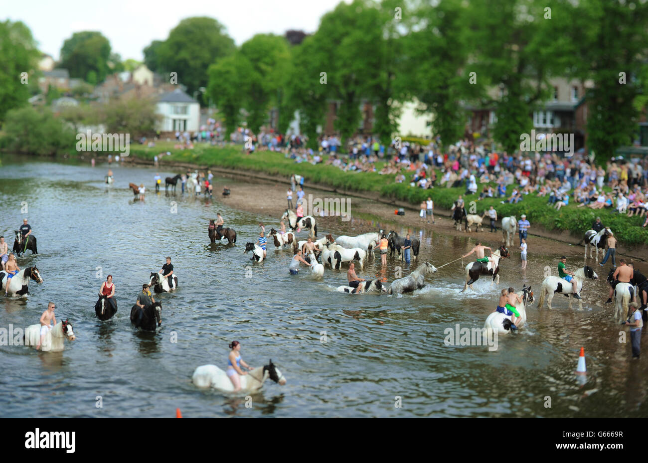 EDITOREN BITTE BEACHTEN SIE, DASS AUF DIESEM BILD EIN TILT- UND SHIFT-OBJEKTIV VERWENDET WURDE. Am zweiten Tag der Appleby Horse Fair, dem jährlichen Treffen von Zigeunern und Reisenden in Appleby, Cumbria, versammeln sich Menschenmassen, um das Waschen der Pferde im Fluss Eden zu beobachten. Stockfoto