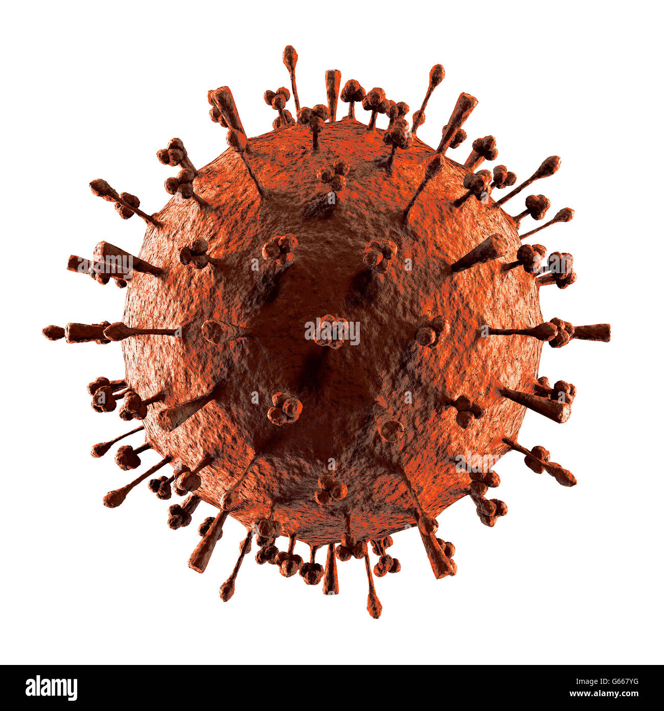 Grippe H1n1 H5n1 Virus Influenza A Virus Partikel Oder Virion Schweinegrippe Vogelgrippe Hunde Grippe Pferdeartige Grippe Partikelstruktur Stockfotografie Alamy