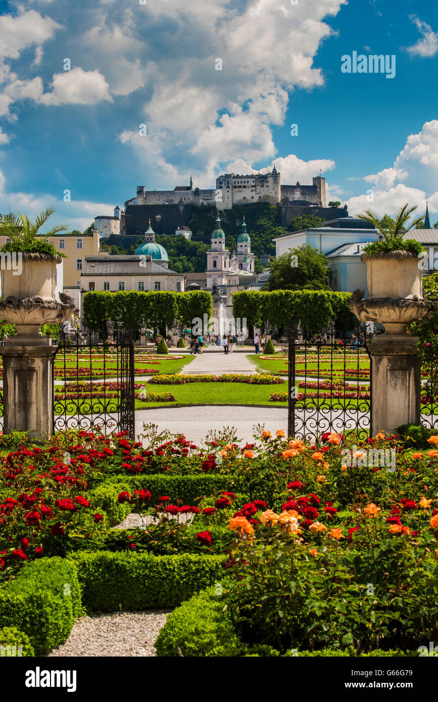Mirabellgarten mit Kathedrale und Festung Hohensalzburg Schloss im Hintergrund, Salzburg, Österreich Stockfoto