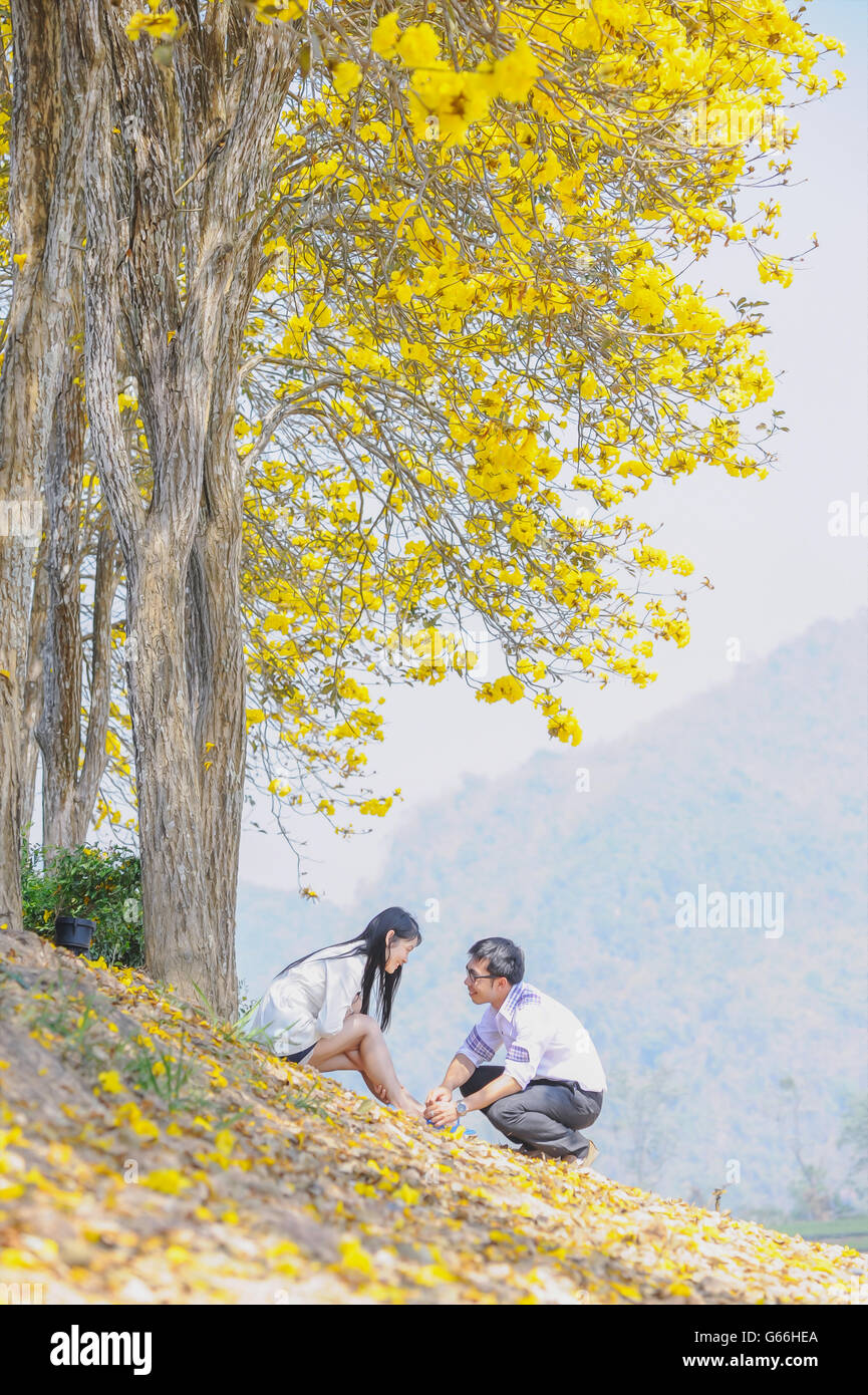 Porträt von Asien glückliches junges Paar auf gelben Baum sitzend Stockfoto
