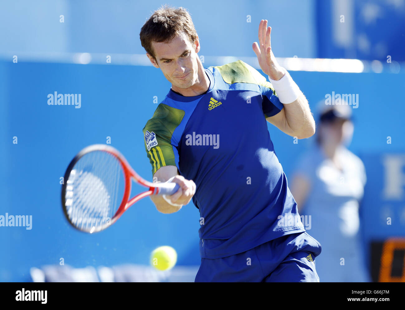 Andy Murray bei seinem Spiel gegen Benjamin Becker bei den AEGON-Meisterschaften im Queen's Club, London. Stockfoto