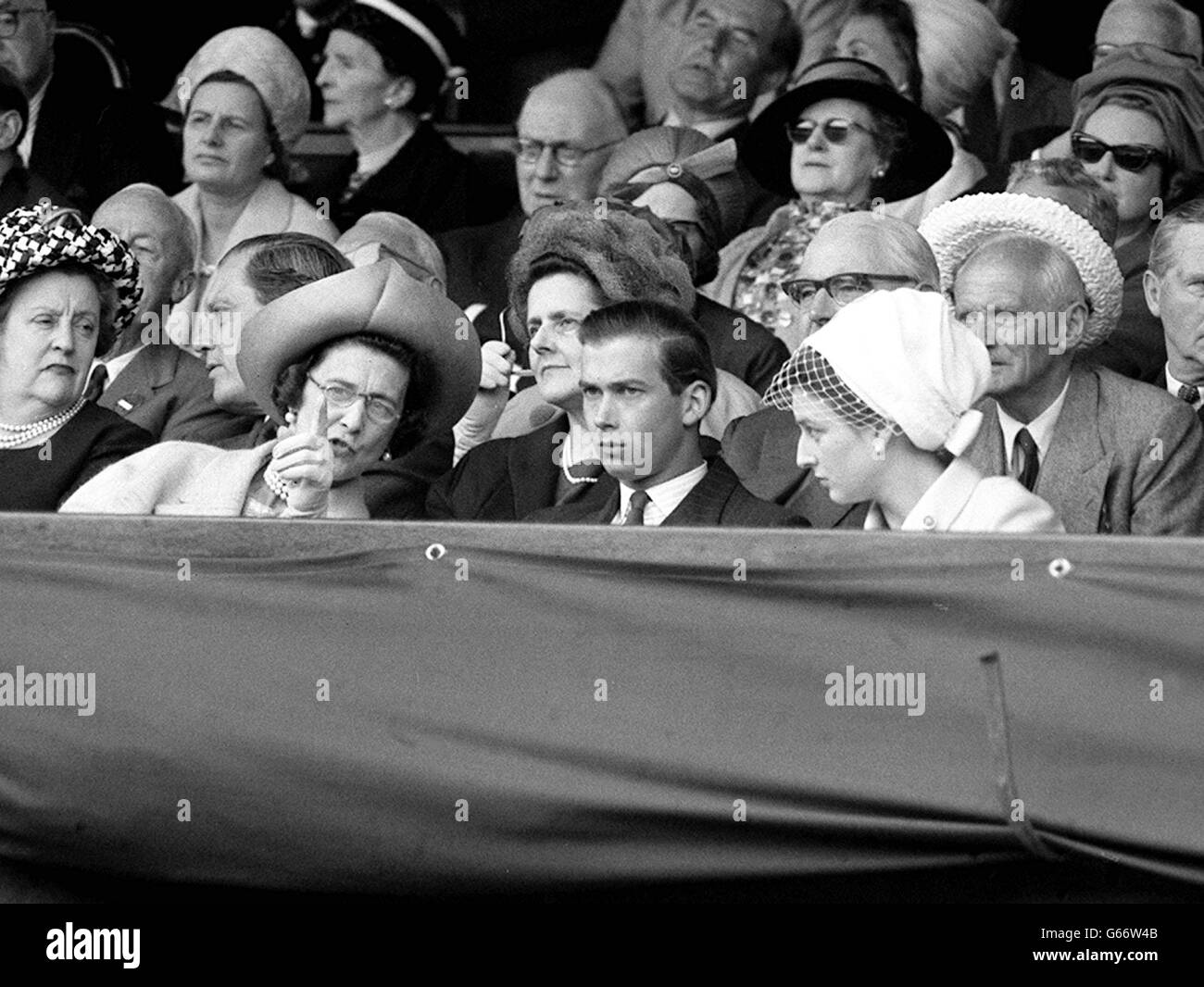 Der Experte erklärt Stockfoto