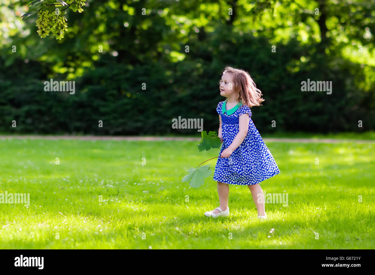 Niedliche kleine Mädchen spielen im sonnigen Sommerpark. Kind, die Kommissionierung Ahorn Blätter. Kleinkind Kind laufen und springen in einen Wald. Stockfoto