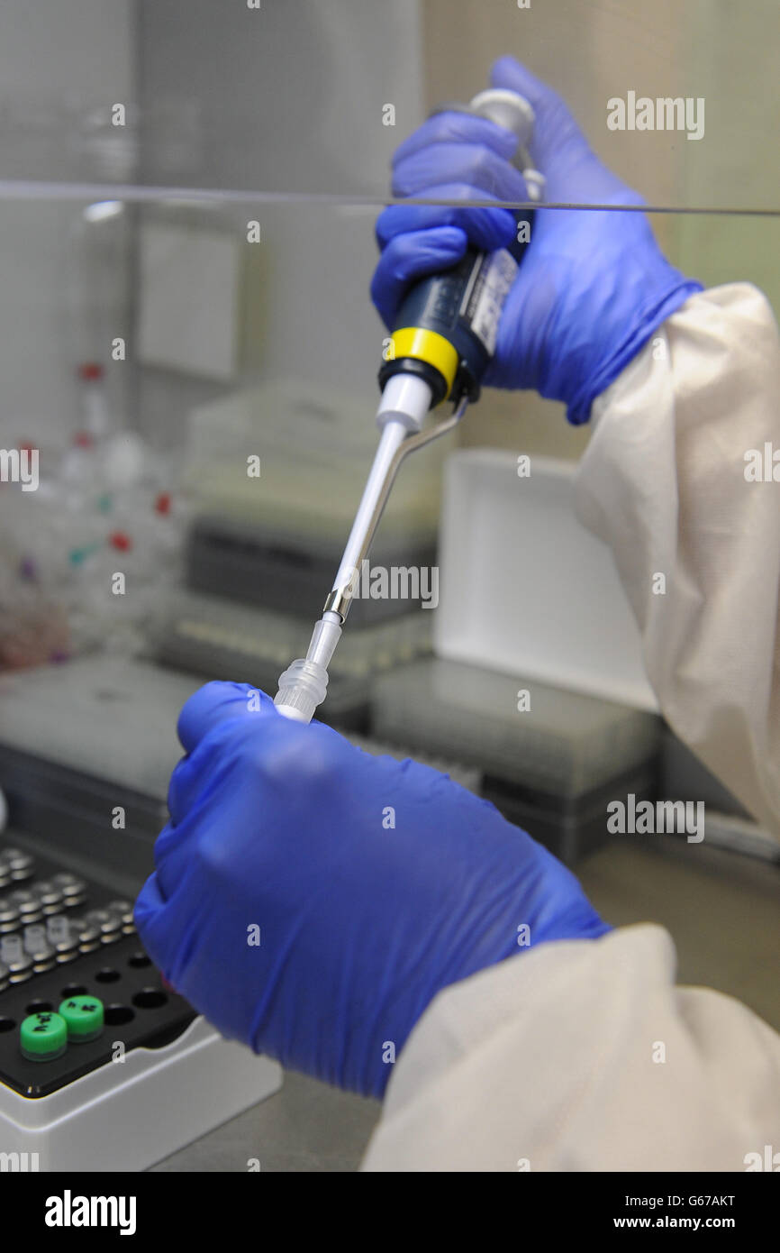 Allgemeine Ansicht der Ausrüstung, die in der Analyse des Blutes verwendet wird, um die Wahrscheinlichkeit einer schwangeren Frau zu bestimmen, die postnatale Depression entwickelt. Forschungen unter der Leitung von Professor Dimitris Grammatopolous, Professor für Molekulare Medizin und Berater für klinische Biochemie und molekulare Diagnostik an den Universitätskliniken Coventry und Warwickshire haben gezeigt, dass eine genetische Variation dazu führen kann, dass Frauen bis zu fünfmal häufiger an postnataler Depression leiden. Stockfoto