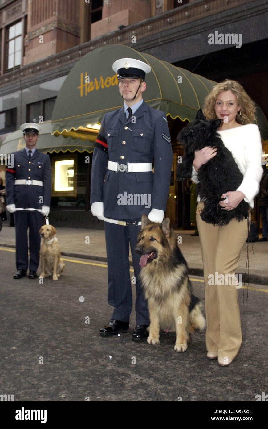 Die Schauspielerin Holly Newman steht vor Harrods im Zentrum von London, mit CPL Damien Heartford (Mitte) und Sgt Paul Bass von der RAF, um eine RAF-Aktivität zu fördern, um geeignete Hunde in die Luftwaffe zu rekrutieren, um die Flugplätze zu schützen und andere militärische Aktivitäten durchzuführen. Stockfoto