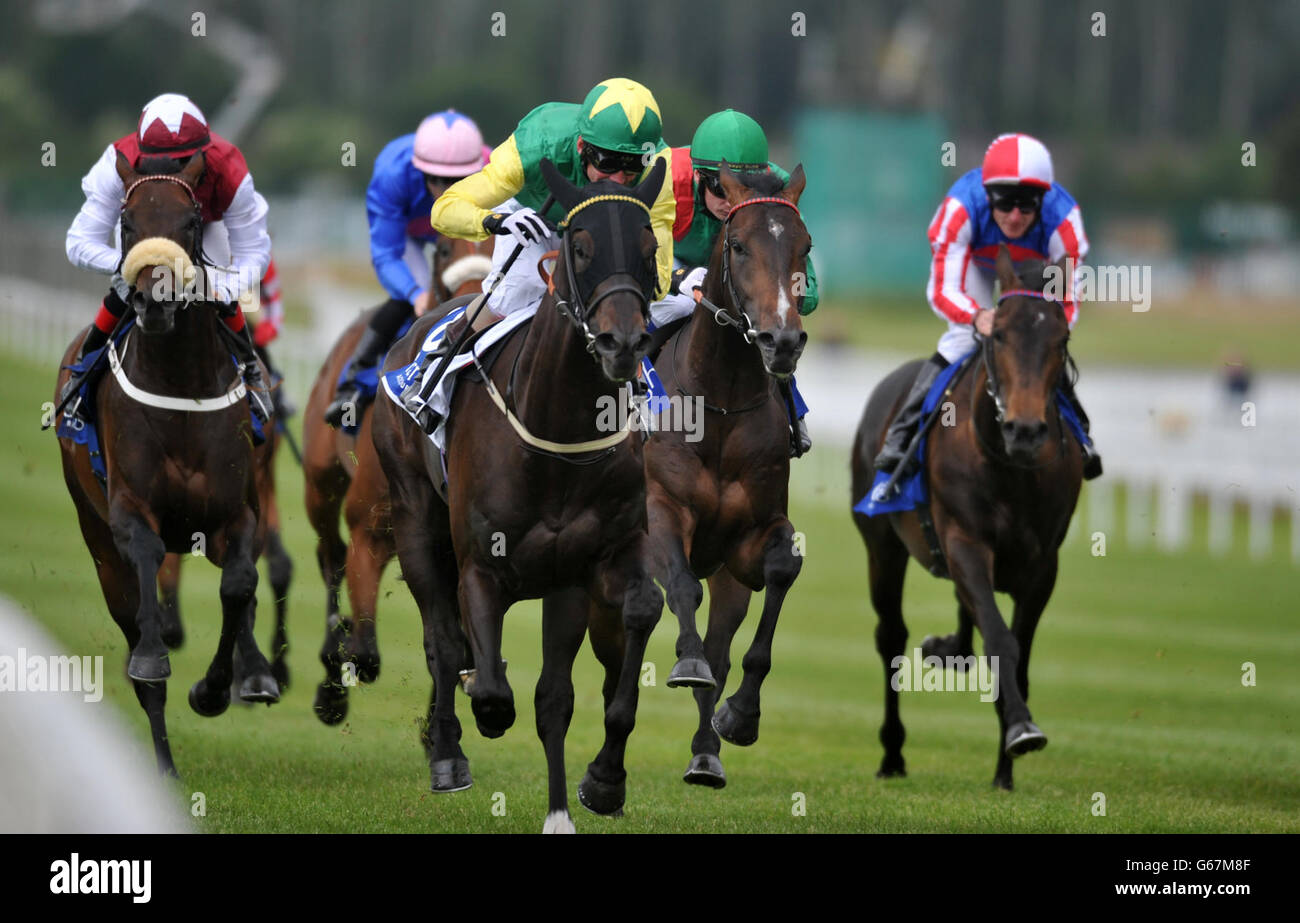 Horse Racing - 2013 Irish Derby - Oxigen Umwelt Pretty Polly Stakes Tag - Curragh Rennbahn Stockfoto