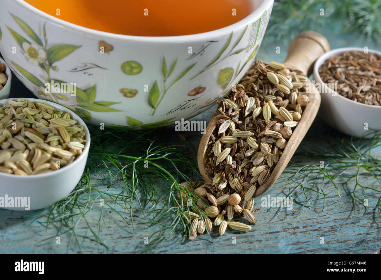 Tasse Tee mit Anis, Fenchel, jährliche Kümmel, Koriandersamen / (Pimpinella Anisum, Foeniculum Vulgare, Carum Carvi, Coriandrum Sativum) Stockfoto