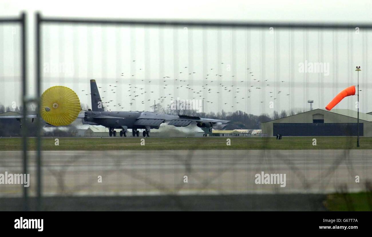 Vögel fliegen in die Luft, als ein US-Bomber der B52 in RAF Fairford in Gloucestershire landet. Der Langstreckenbomber, der voraussichtlich in jeden Konflikt mit dem Irak verwickelt sein wird, ist der erste von rund neun, von denen angenommen wird, dass er am Stützpunkt ankommt, * .. Obwohl das Verteidigungsministerium noch keine offizielle Bestätigung darüber abgegeben hat, dass das Flugzeug dort stationiert werden wird. Stockfoto