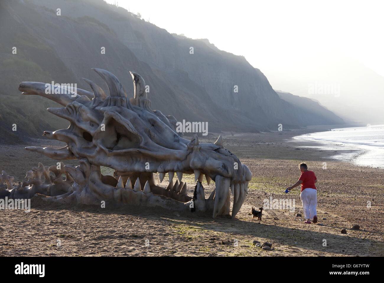 Ein Hund interessiert sich für einen 39 Meter breiten Drachenschädel, der geschaffen wurde, um den Start von HBO's Game of Thrones Saison zu feiern 3 im Fernsehen und Film-Service, blinkbox, am Charmouth Beach an der Jurassic Coast in Lyme Regis, Dorset. Stockfoto