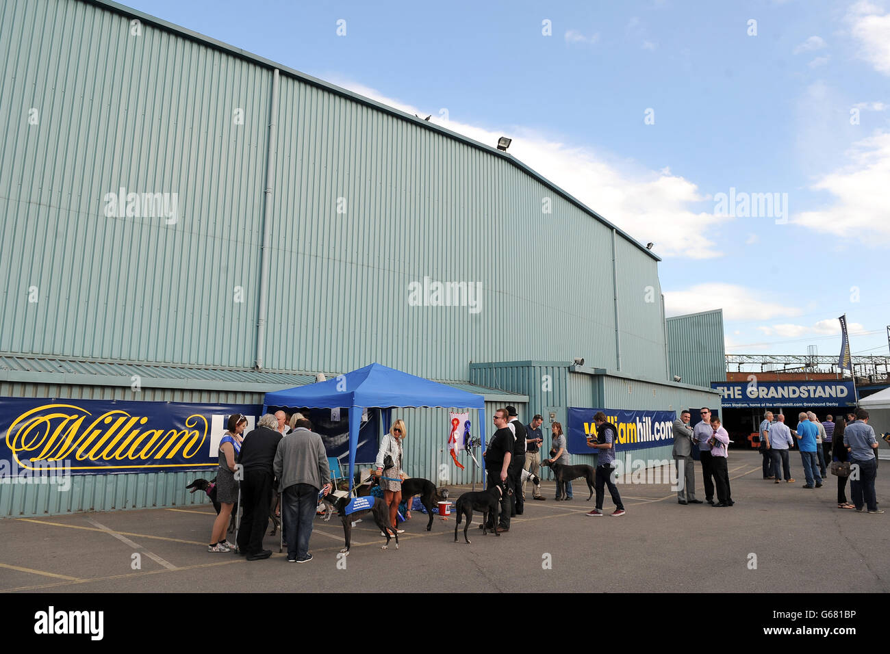 Greyhound Racing - William Hill Derby - Finale - Wimbledon-Stadion Stockfoto