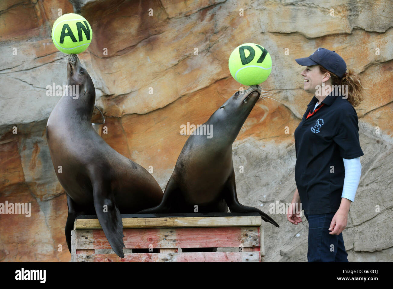 Unterstützung für Murray Stockfoto