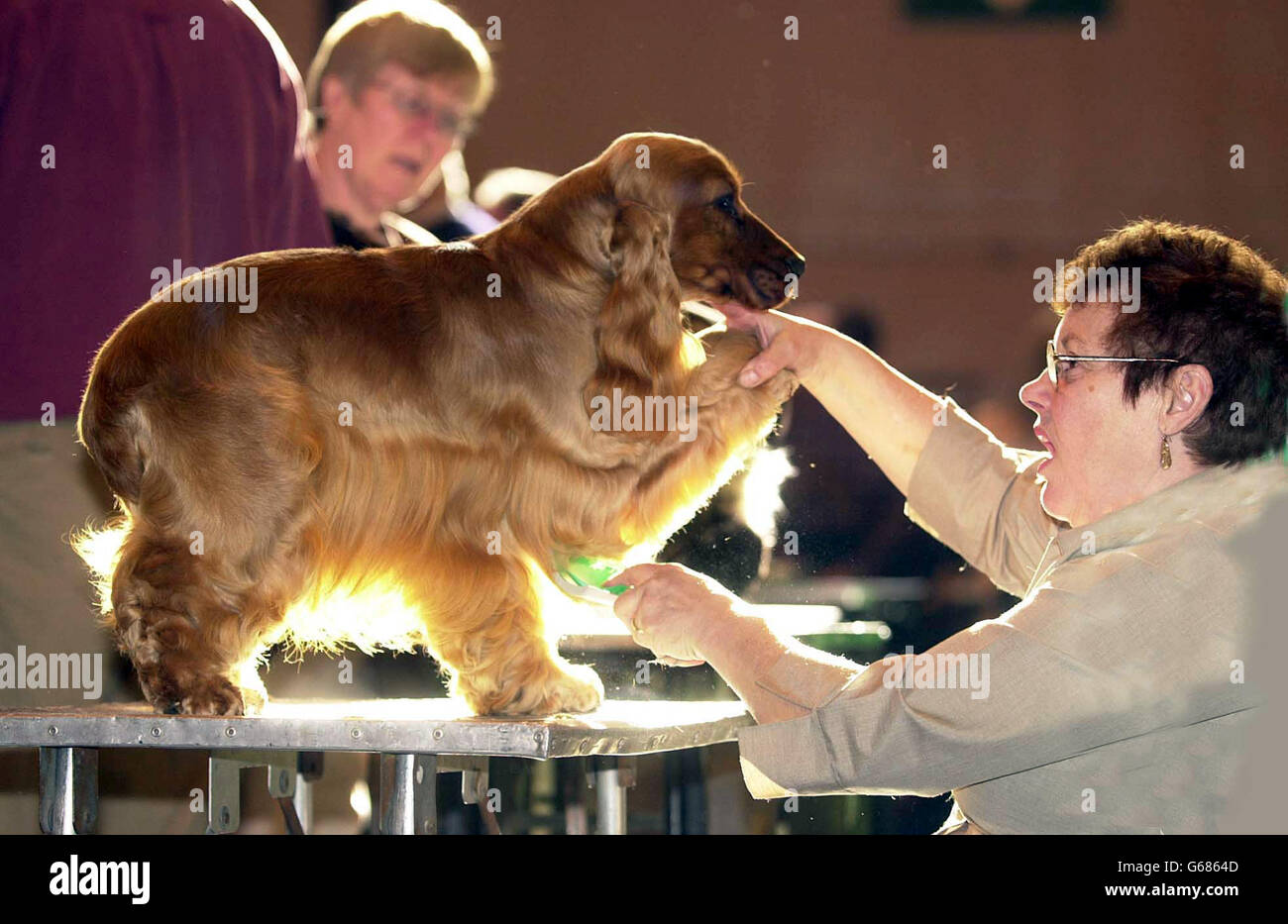 CRUFTS 2003 - JACKIE MARIS-BRAY Stockfoto