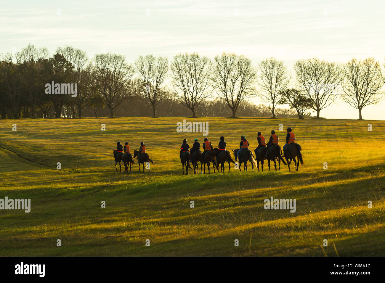 Rennpferde Fahrer Morgen training Silhouette Landschaft. Stockfoto
